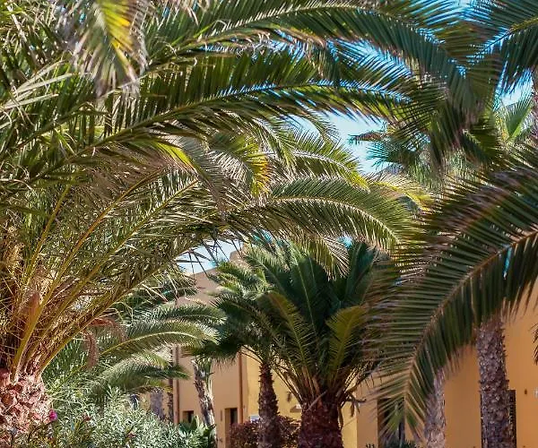 Apartman Fuerteventurapartments Corralejo