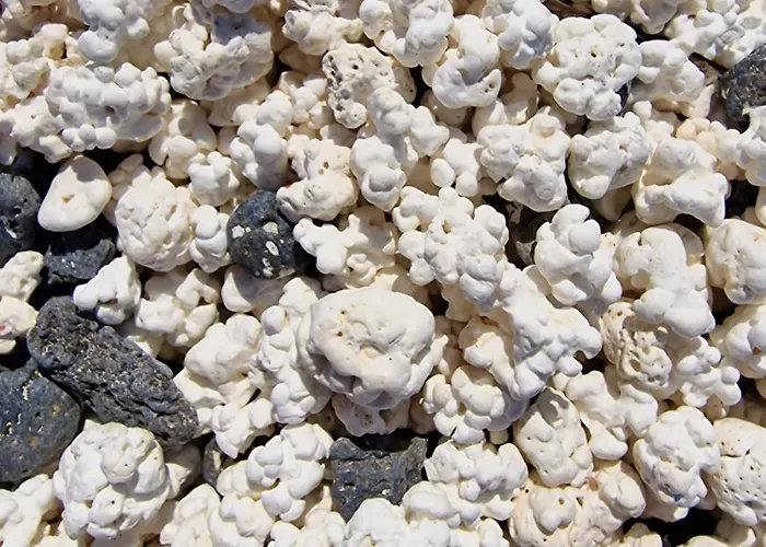 Fuerteventurapartments Apartman Corralejo